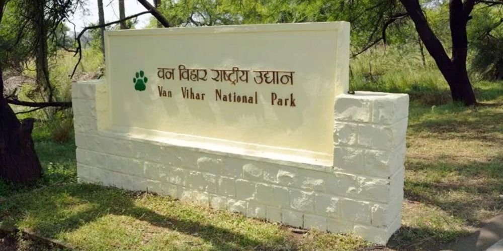 Van Vihar National Park, a must-visit wildlife place to visit in Bhopal near the lakes