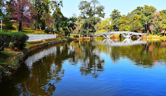 Surrounded by gardens, a wooden bridge and so much more in Shillong.