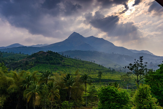 Lush green hills, caves, and lakes in Kerala’s scenic hill station.