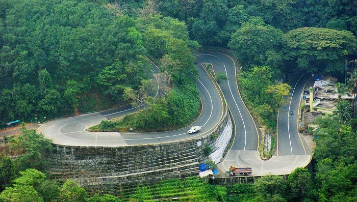 Our Coorg City Page explores Wayanad's lush tea plantations