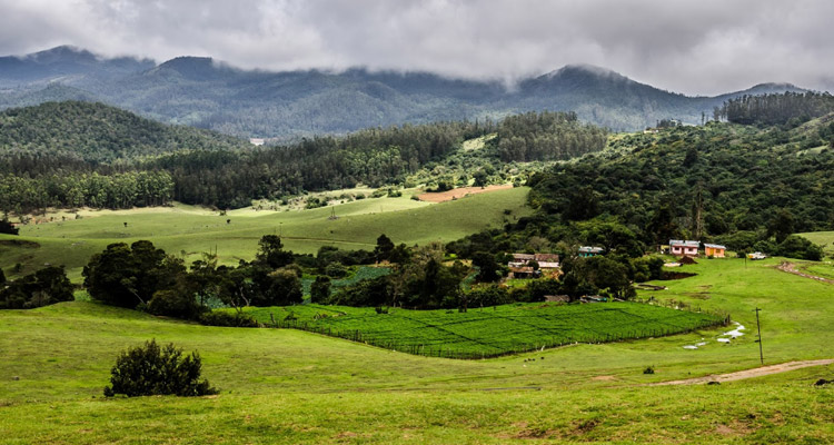 A scenic grassland and one of the most picturesque places to visit near Ooty.