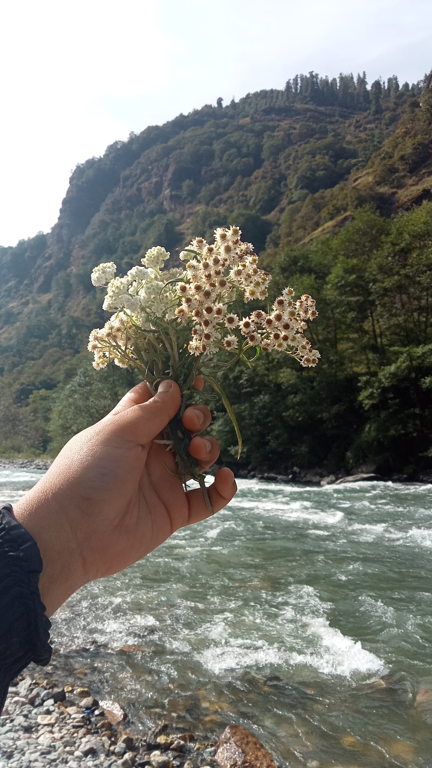 The surrounding Is filled with beautiful stuffs.