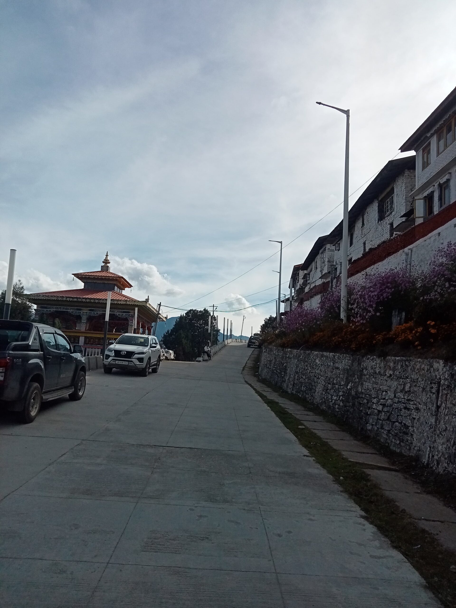 Pretty area filled with blooming flowers and hills