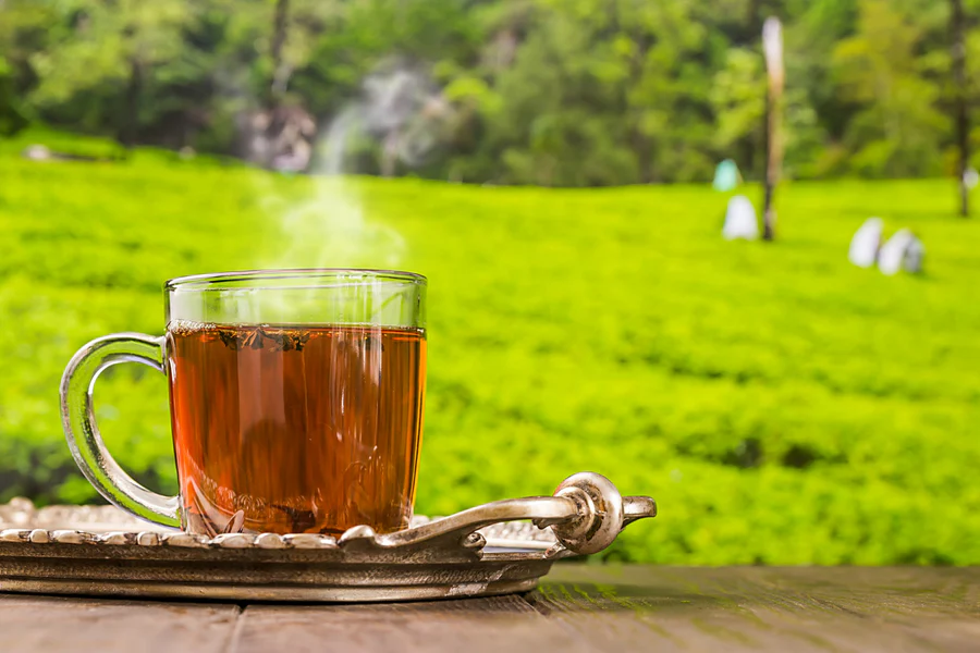 A relaxing cup of tea with view feels awesome