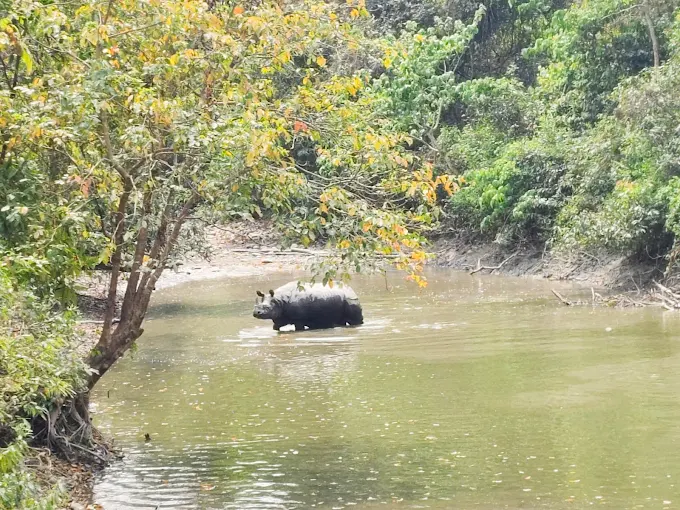 Manas provides vital ecosystem services: flood regulation, fertile soil, clean water, carbon sequestration, and fishery resources.