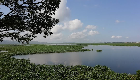 A permanent freshwater lake located about 13 km southwest of Guwahati in Kamrup, Assam