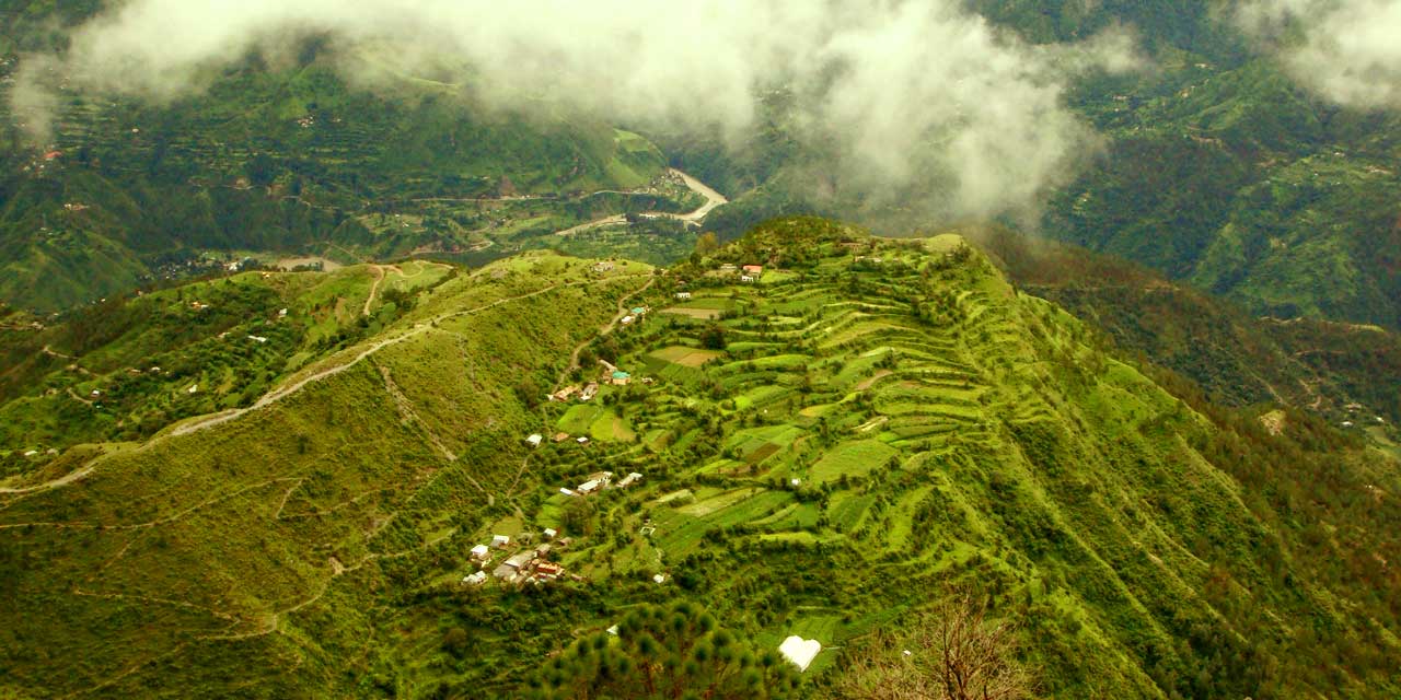 Palace in Chail surrounded by pines.