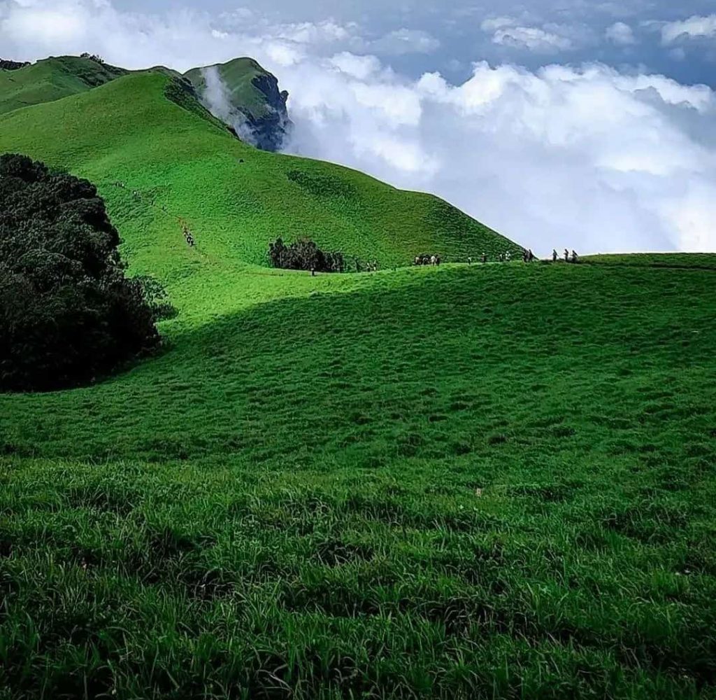 Misty hills and coffee plantations in Chikmagalur near Halebidu