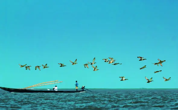 Chilika Lake near Bhubaneswar, Asia’s largest brackish water lagoon