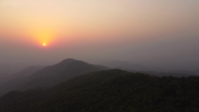 A wild elephant roaming in the lush forests of Dalma Wildlife Sanctuary near Jamshedpur.