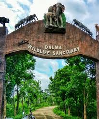 The entrance gate and hilly terrain of Dalma Wildlife Sanctuary, a short drive from Jamshedpur.