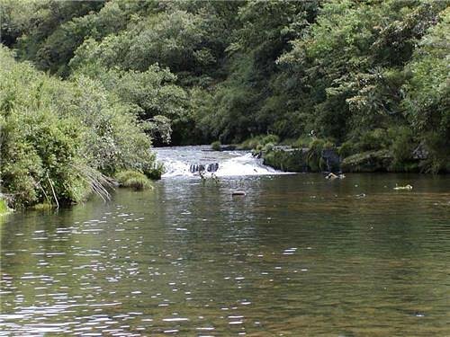 Scenic Doyang River in Wokha, famous for its serene waters and migratory Amur falcons.