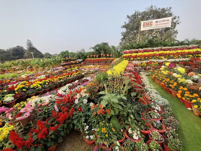 Serene Ekamra Kanan, a must-visit place in Bhubaneswar for nature walks and greenery.