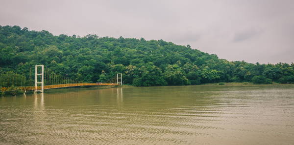 Eturnagaram Wildlife Sanctuary, a wild escape among places to visit in Warangal for nature lovers.