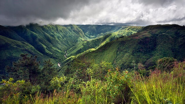 Ancient living root bridges spanning across Meghalaya's verdant valleys, surrounded by tropical rainforests and crystal-clear streams.