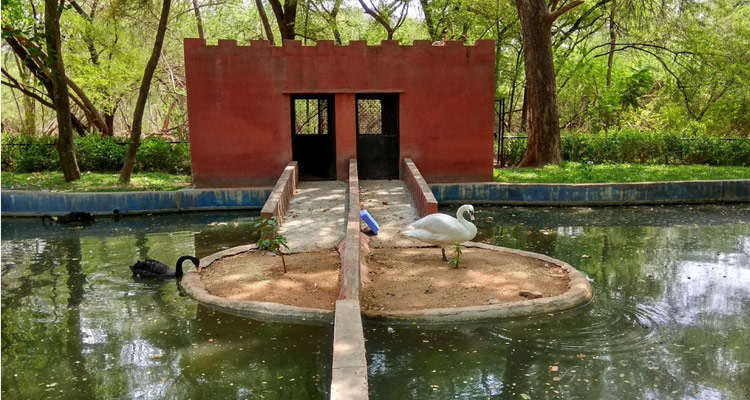 Kakatiya Zoo, a great place to visit in Warangal for families with diverse animal species.