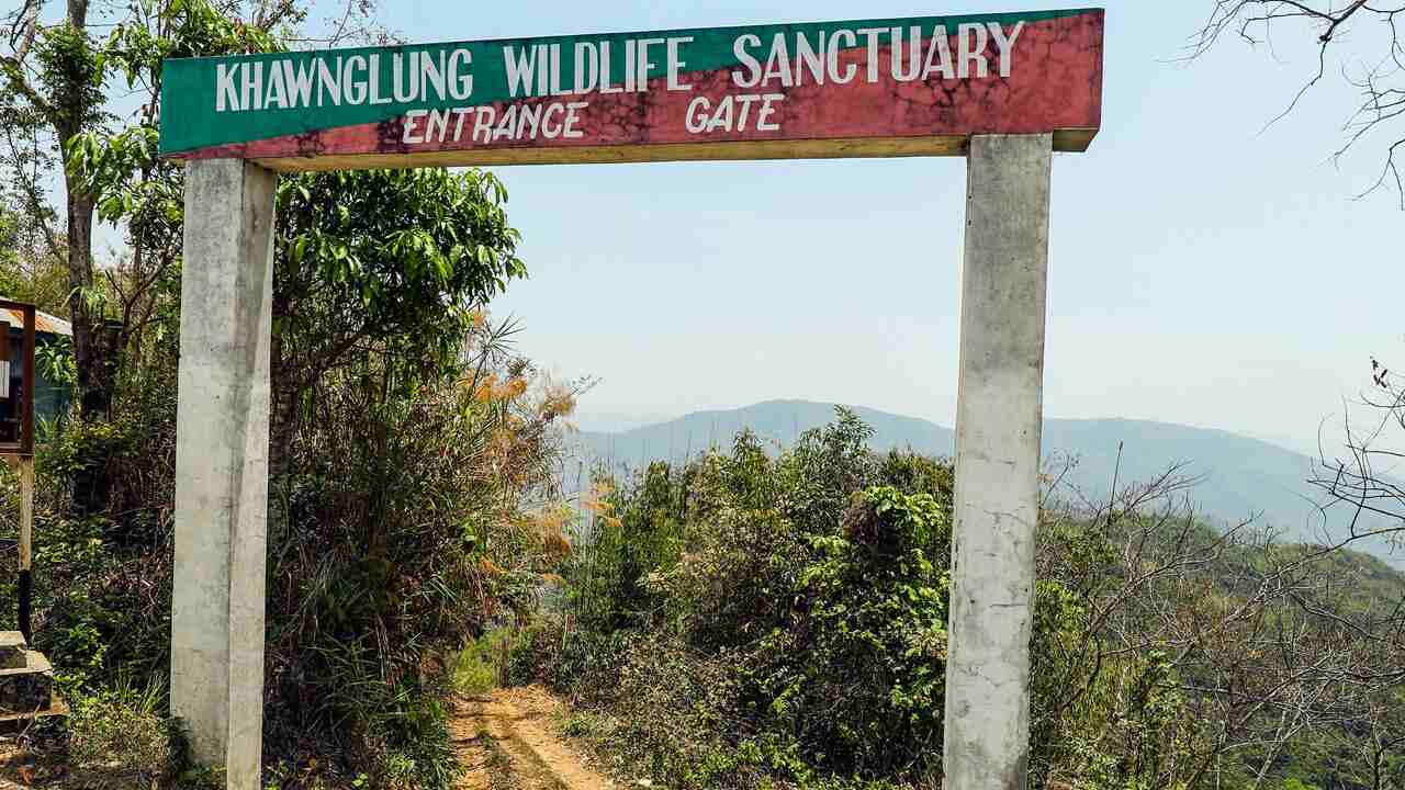 Perfect for nature lovers