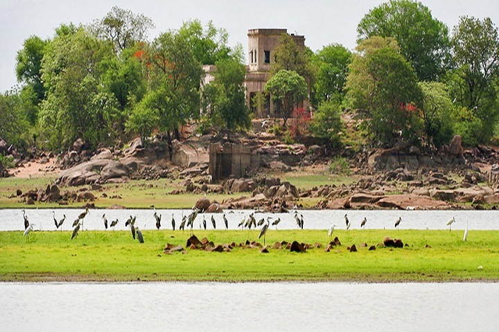 A tranquil wildlife sanctuary with lush greenery and a serene lake near Warangal.