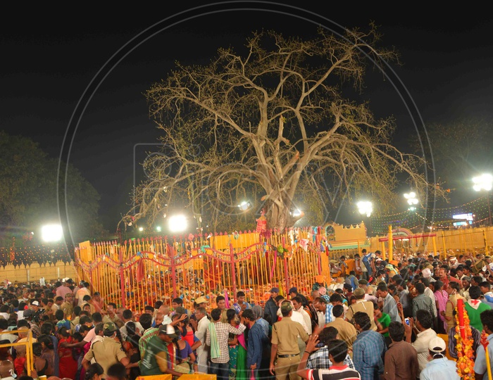 Sacred Medaram village, hosting Asia’s largest tribal festival, Sammakka Sarakka Jatara.