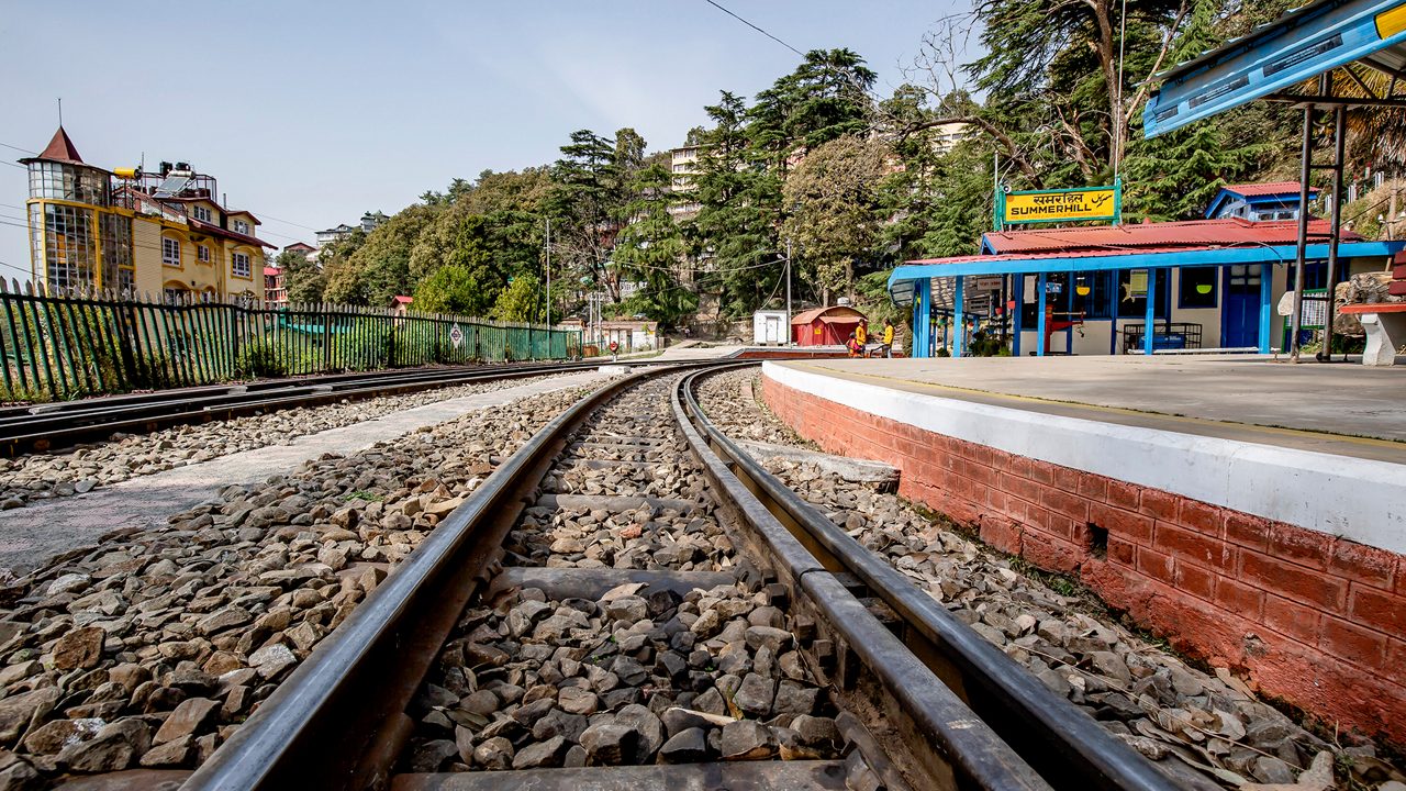 Green landscape of Summer Hill, Shimla