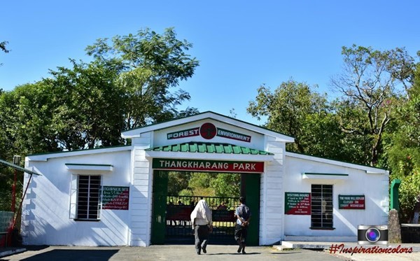 Offers beautiful view of Cherrapunji