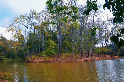 A perfect spot for picnic or chilling in East Garo Hills