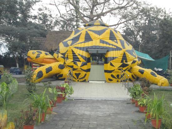 Visitors viewing a tiger at the Tata Steel Zoological Park in Jamshedpur.