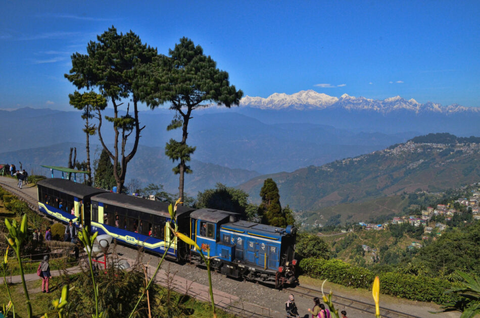Tourist can enjoy the view of city in this toy train