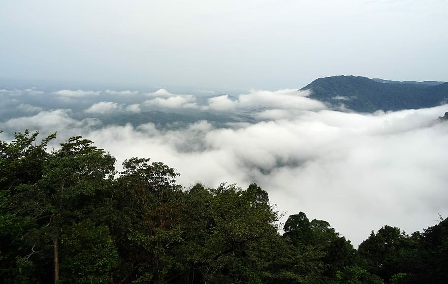 Agumbe, Karnataka rainforest sunset