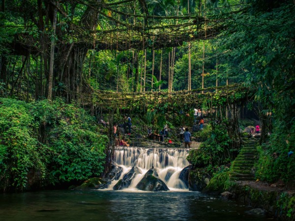 A very special and famous bridge of Cherrapunji.