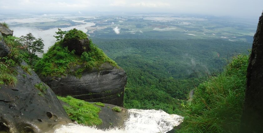 Offers amazing city vibes with peaceful environment.