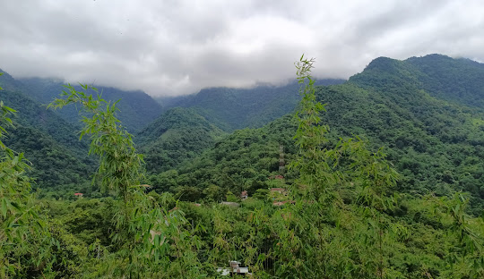 A place very famous in Silchar for unknown reason of birds doing suicide there