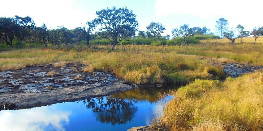 A area for birds and animals