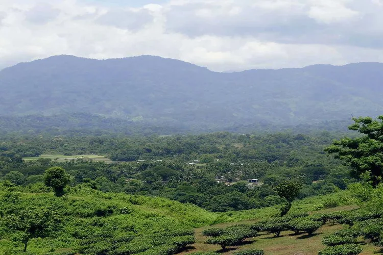 Very much ideal for quiet moments in Silchar