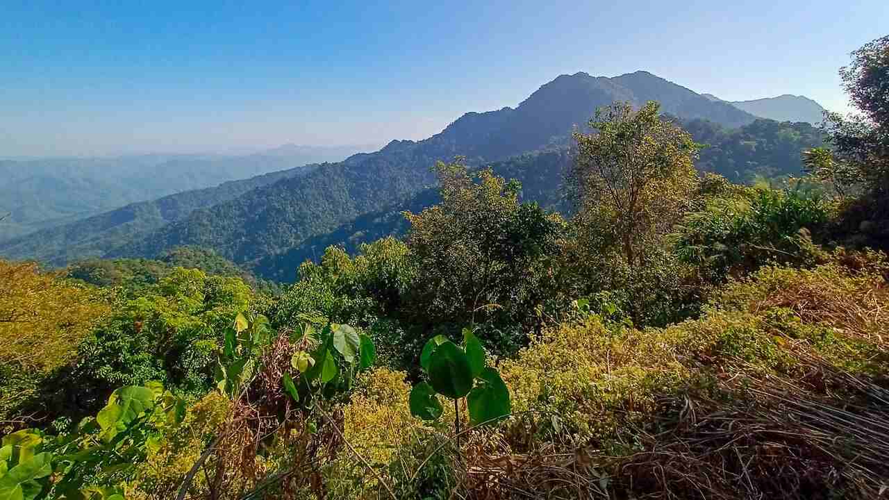 A beautiful place for variety of flora & fauna