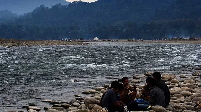 Perfect spot for picnic