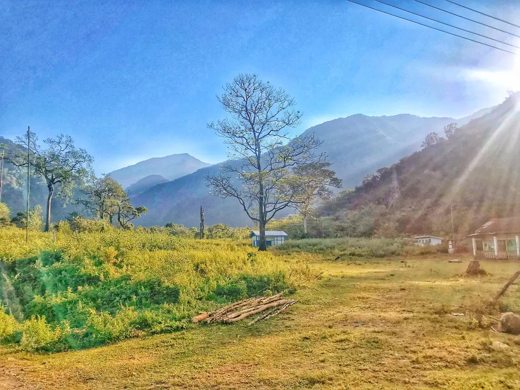 A beautiful area to enjoy and relax