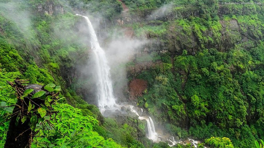 The scenic fan-shaped cascade of West India's Famous Waterfalls in Mahabaleshwar, elegantly flowing into a pool amidst a dense, green forest.