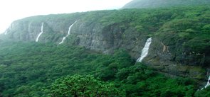 A panoramic view from a watchtower over Navegaon Lake, showing flocks of migratory waterbirds at Navegaon National Park, a famous bird sanctuary in West India.