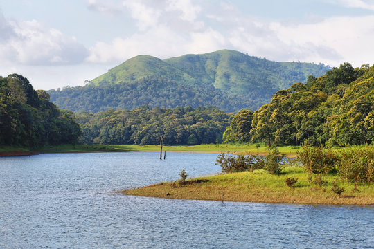 Tourists on a boat safari spotting wildlife along the lake in Periyar Wildlife Sanctuary, a classic experience in South India's Famous Wildlife & Bird Sanctuaries.