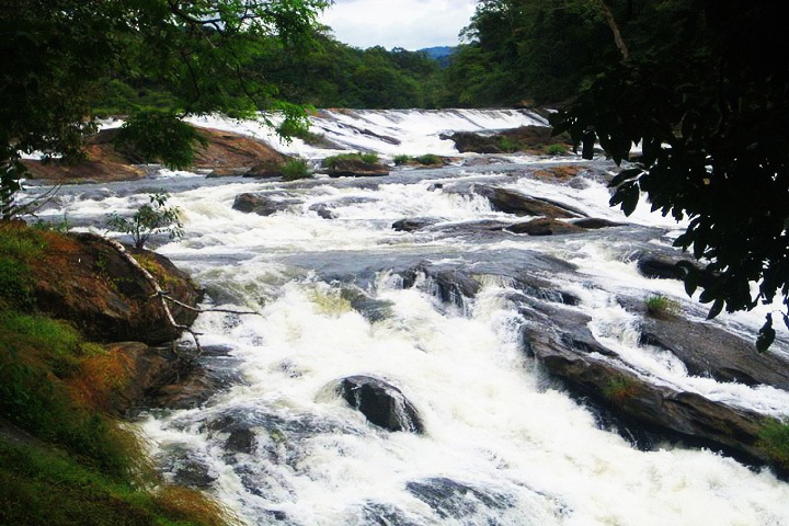 A dramatic, near-vertical plunge of West India's Famous Waterfalls into a deep, rocky valley covered in pristine jungle foliage.