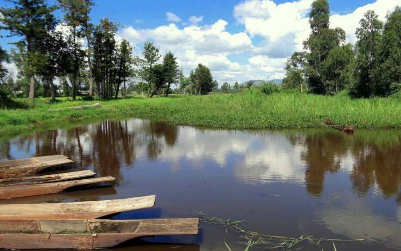 Surrounded by lush greenery and has freshwater