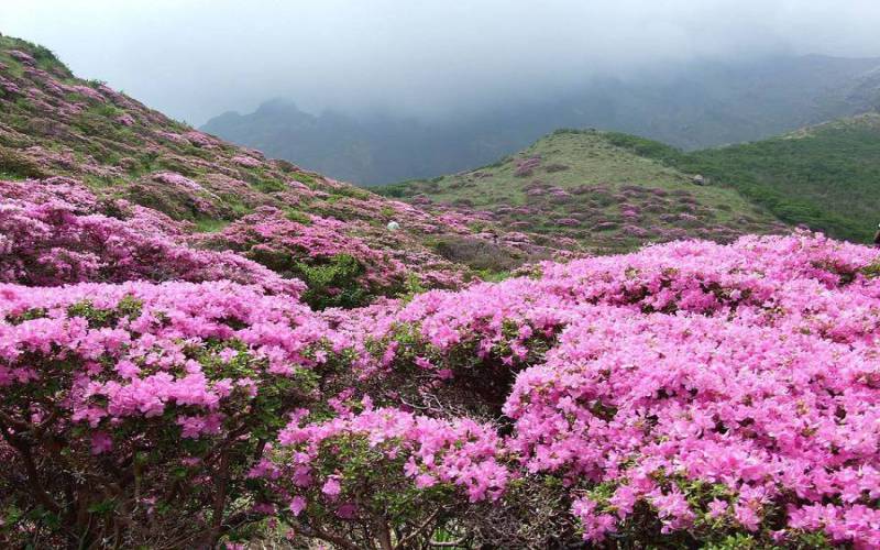 Known for its rich biodiversity and beauty in Champhai