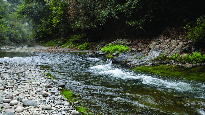 This is a beautiful place to relax in Champhai