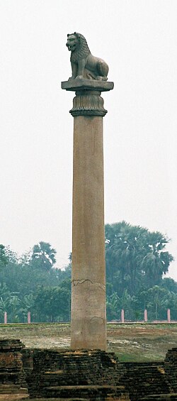 The highly polished Ashoka Pillar standing at the Sanchi site.