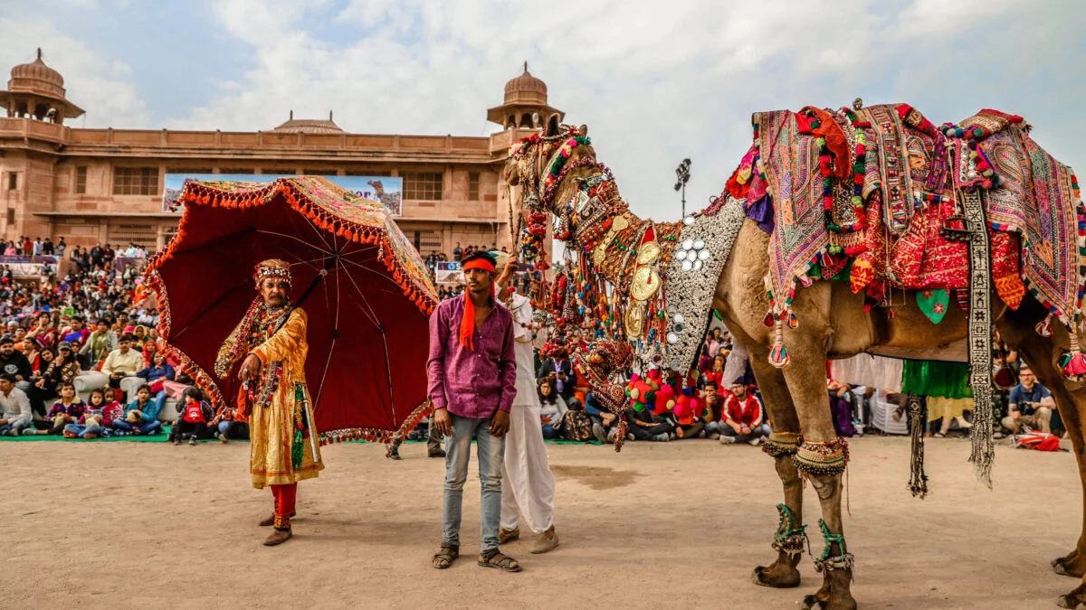Bikaner a Kalbelia dancer performing at a traditional Rajasthani cultural show.