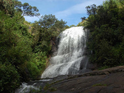 Water cascading down the rocky cliff of Bear Shola Falls surrounded by green foliage, a serene place to visit in Kodaikanal.