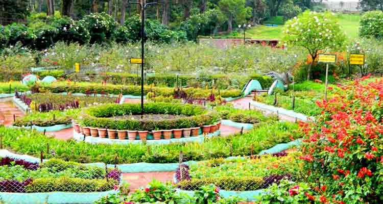 A colorful display of vibrant flowers and well-manicured lawns at Bryant Park in Kodaikanal.