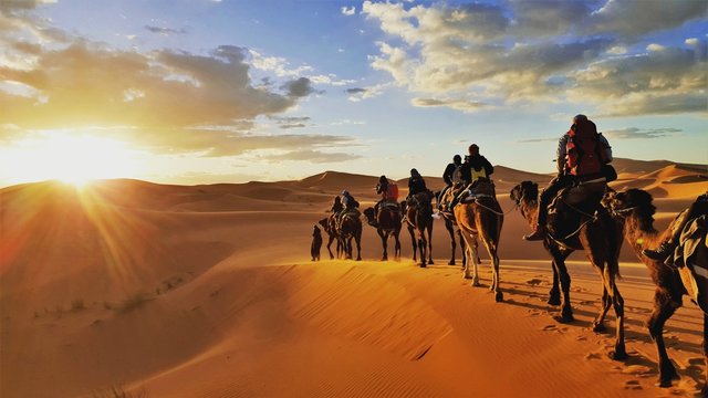 Bikaner tourists enjoying a camel safari at sunset in the Thar Desert.
