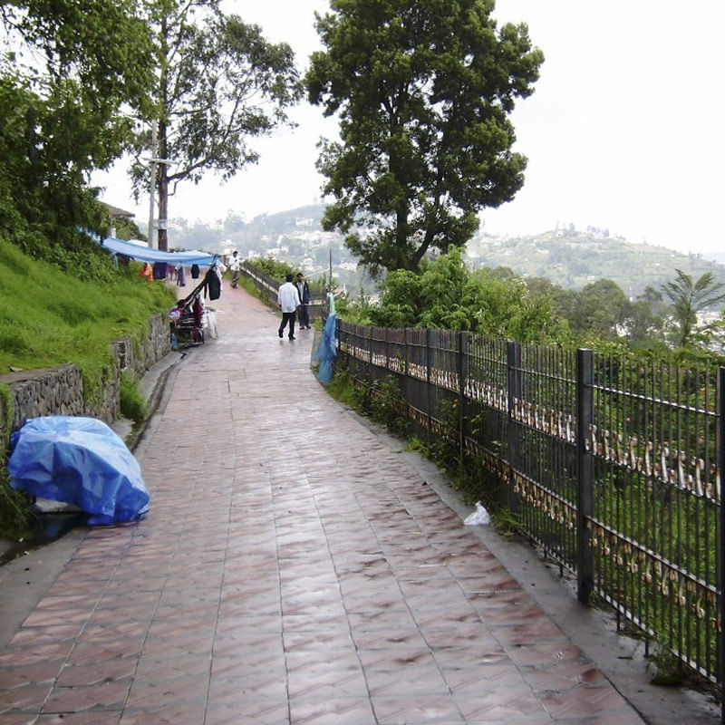 A vibrant morning scene on Coaker's Walk, a scenic pedestrian path on a steep ridge in Kodaikanal.